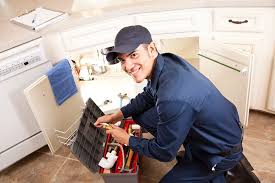 Best Garbage Disposal Repair and Installation  in Corning, AR